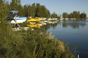 Trail, Coastal Alaska Anchorage, Rentals, Bike