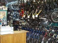 Inside of shop. "Trek" (Shiba Inu pup when three months old) on the podium.
