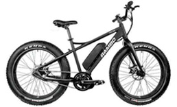 Electric Fat Bikes