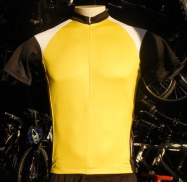 Alaska bike jersey