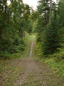  Tony Knowles Coastal Trail & Kincaid Park Mountain Biking